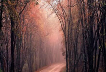 热血传奇！篮球场上的惊险决战