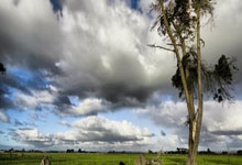 欧洲国家足球赛事激情迸发，球员奋勇争胜