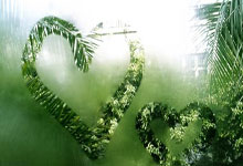 西班牙遭遇挑战，击败意大利晋级