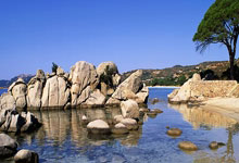 里昂击败马赛，紧追积分榜前列